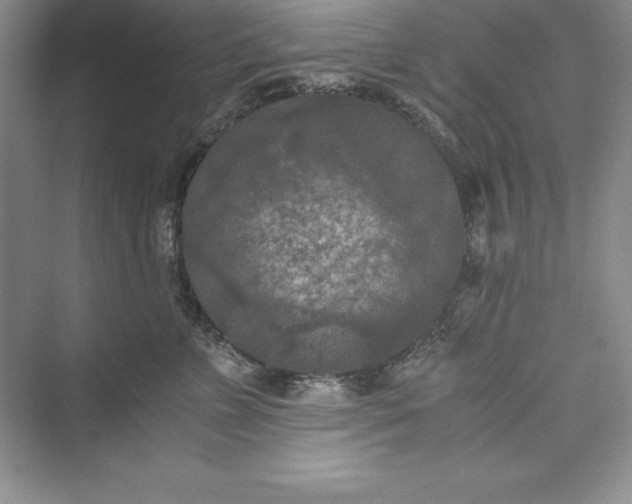 X0000073410715200608111325