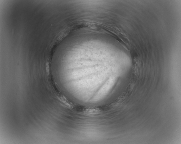 X0000073410716200608111325