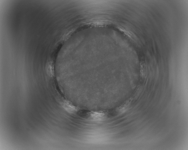 X0000073410718200608111325