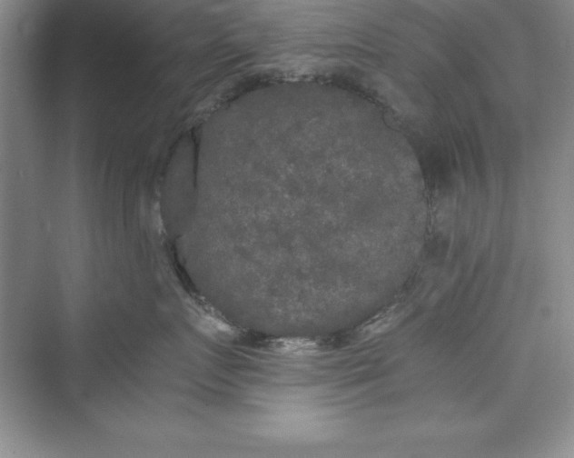 X0000073410719200608111325