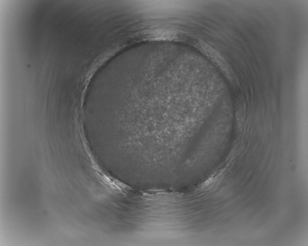 X0000073410721200608111324