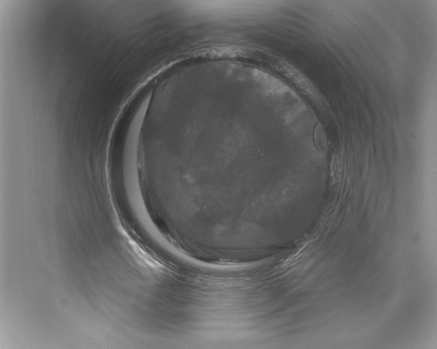 X0000073410722200608111324