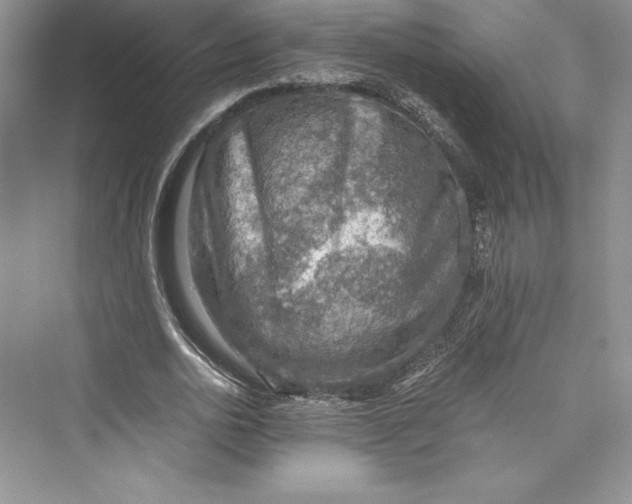 X0000073410726200608111324