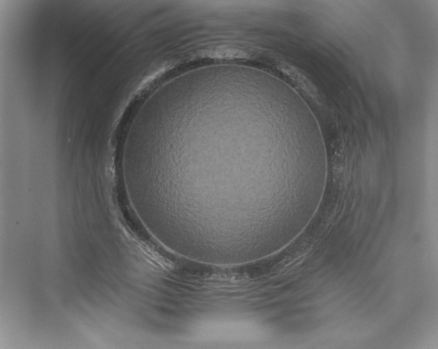 X0000073410727200608111324