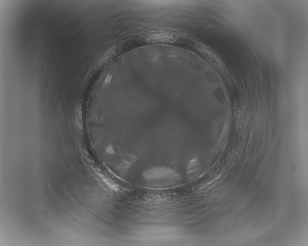 X0000073410729200608111324