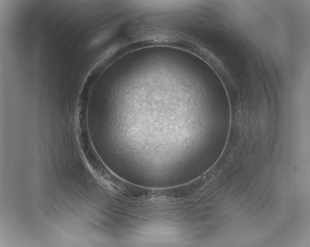 X0000073410730200608111324