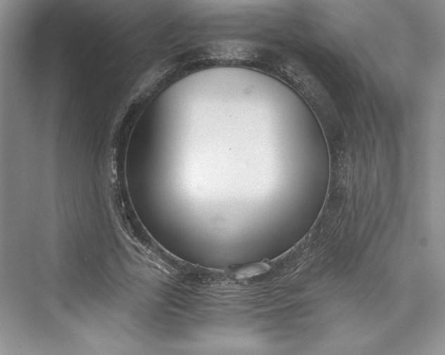 X0000073410731200608111324