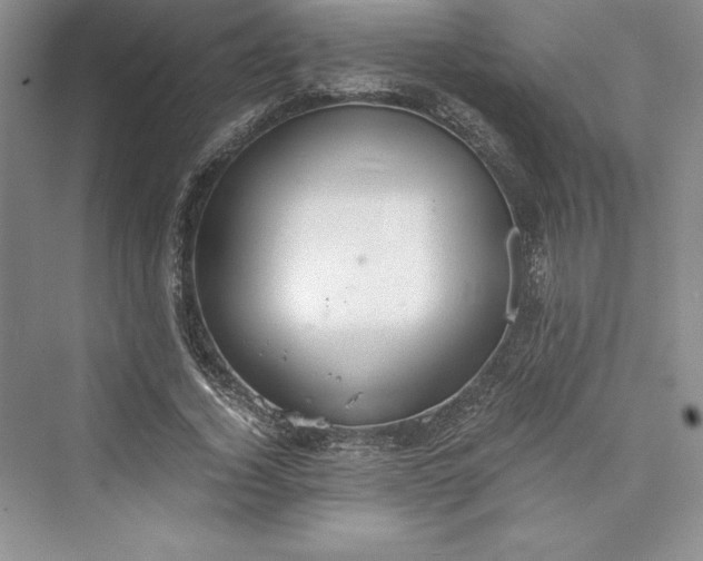 X0000073410732200608111324