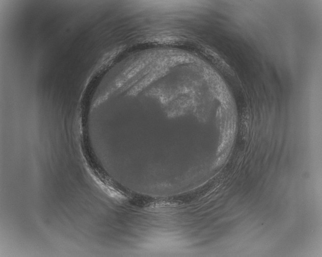 X0000073410734200608111324