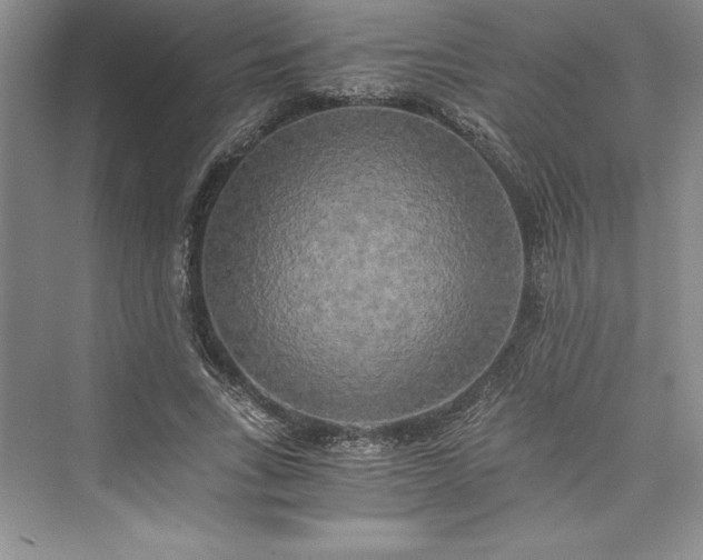 X0000073410735200608111324