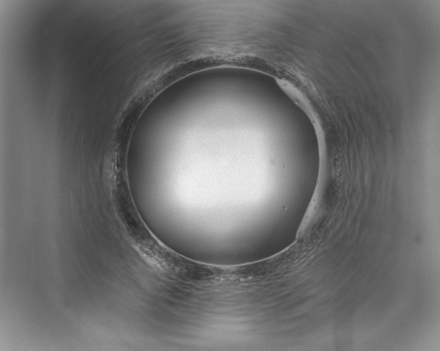 X0000073410736200608111324