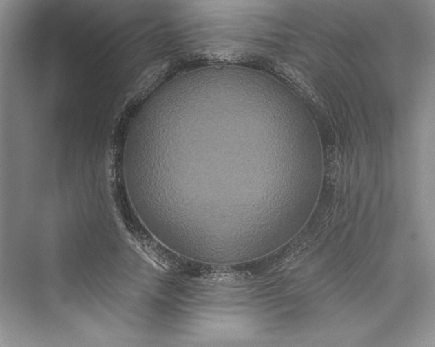 X0000073410738200608111324