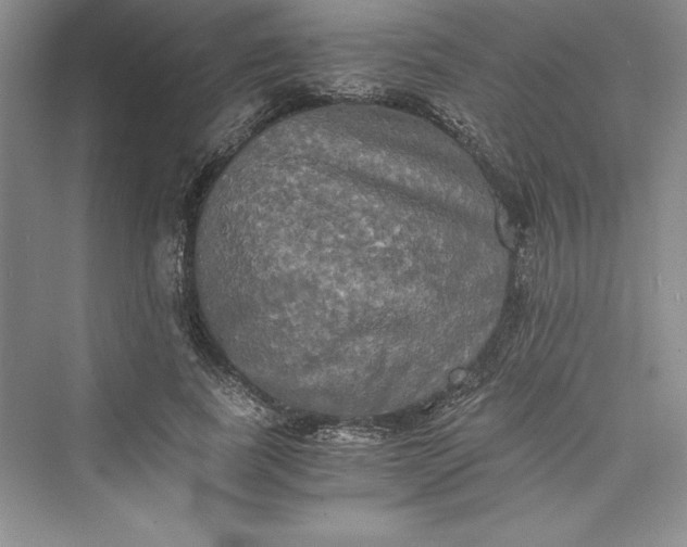 X0000073410739200608111324