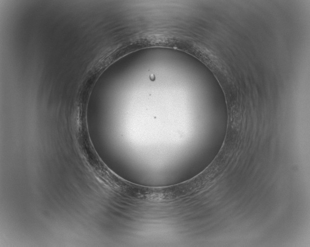 X0000073410740200608111324