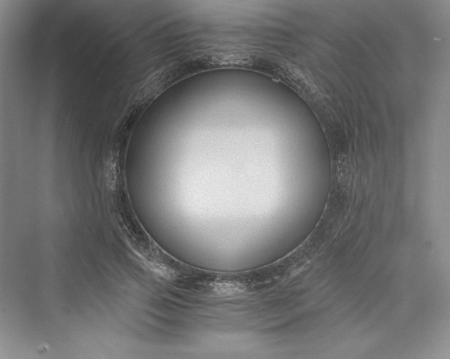 X0000073410741200608111324