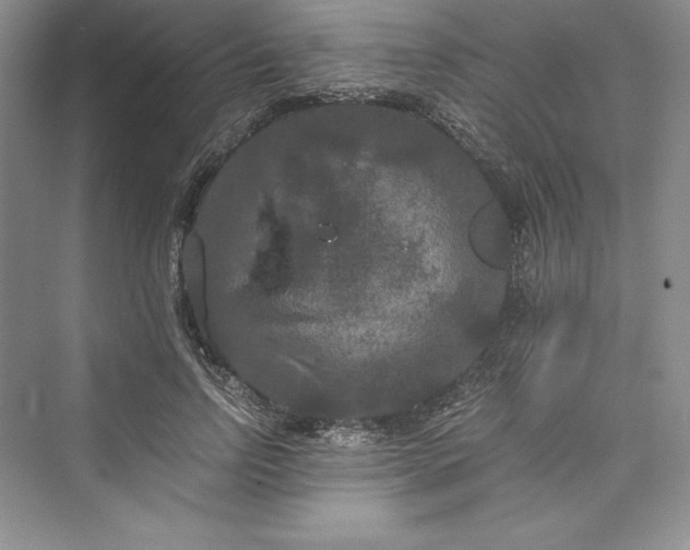 X0000073410742200608111324