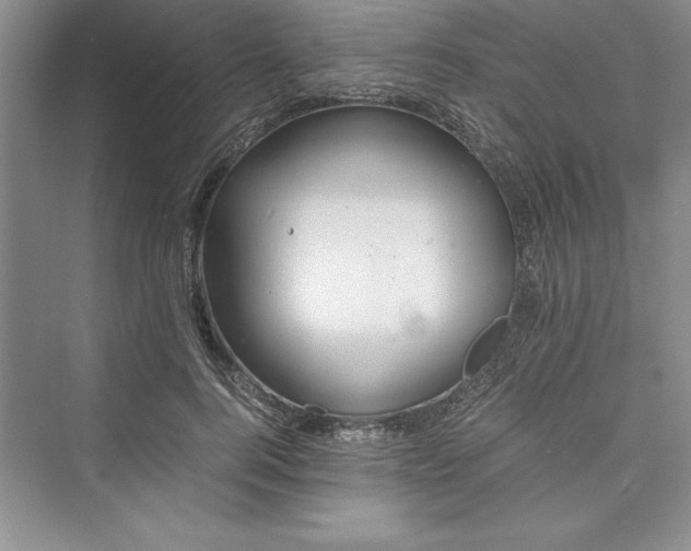 X0000073410744200608111324