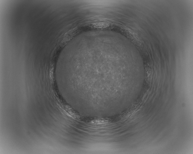 X0000073410745200608111324