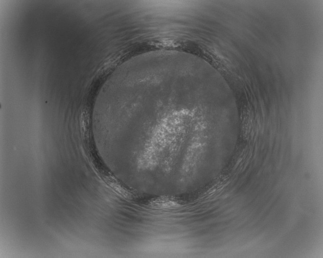 X0000073410747200608111325