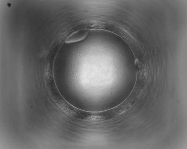 X0000073410748200608111325