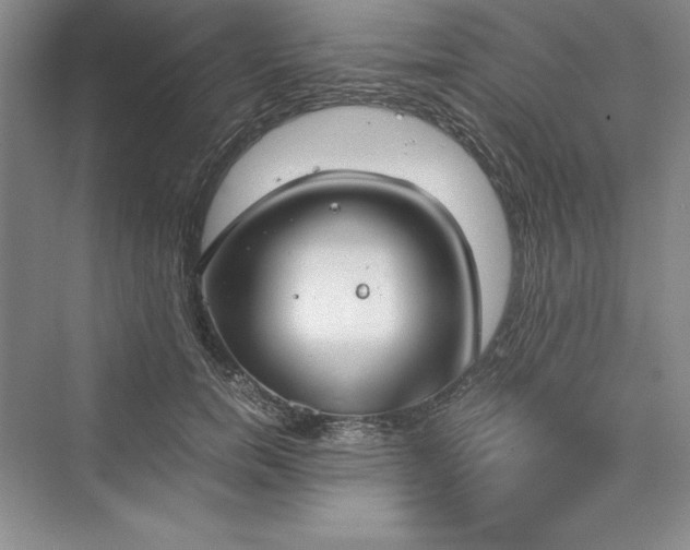 X0000073410750200608111325