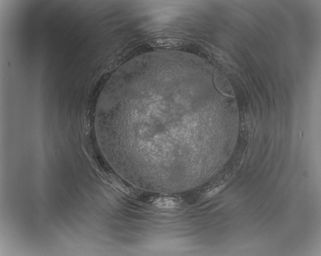 X0000073410751200608111325