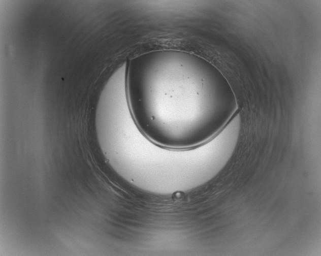 X0000073410752200608111325