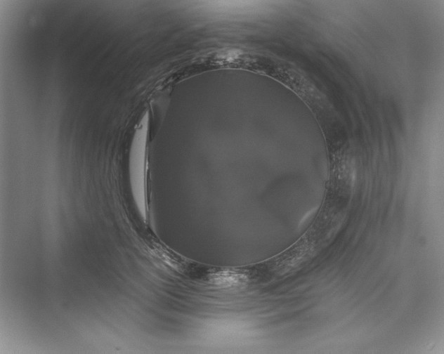 X0000073410754200608111325