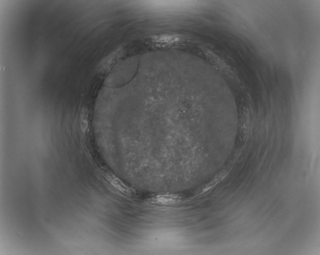 X0000073410758200608111325