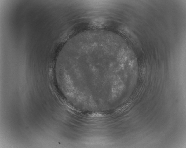 X0000073410759200608111325