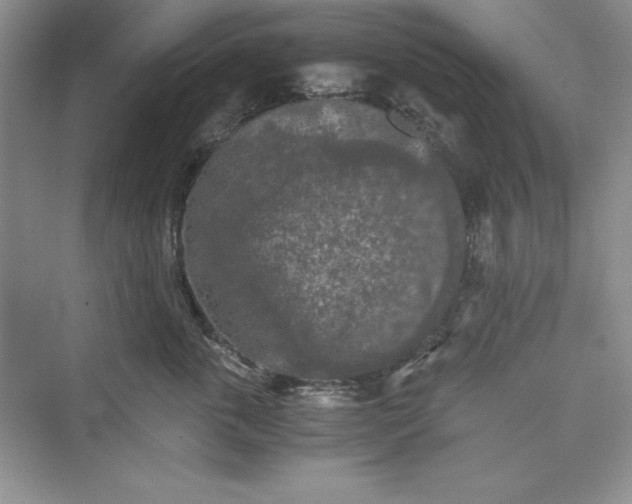 X0000073410763200608111325