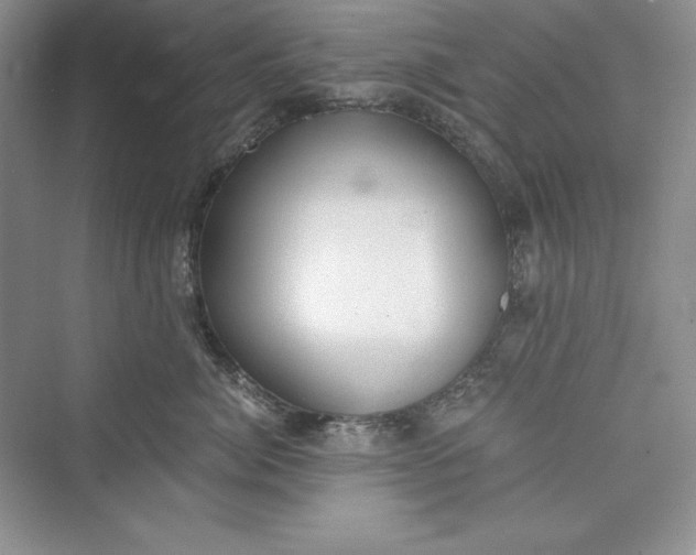 X0000073410764200608111325