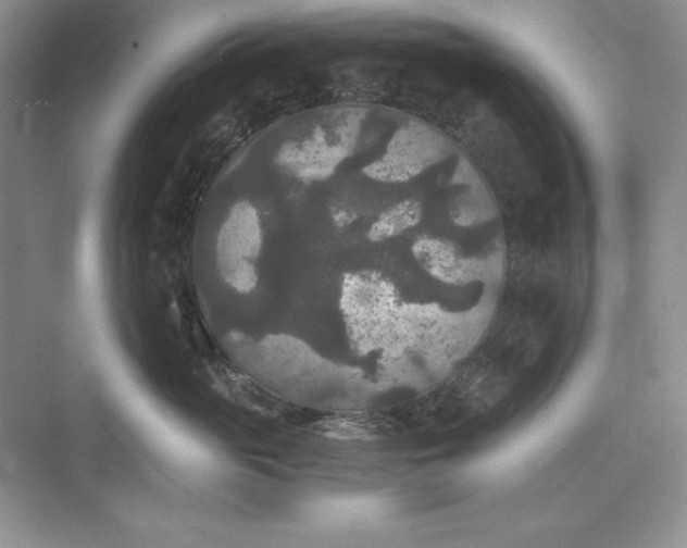 X0000073410765200608111325