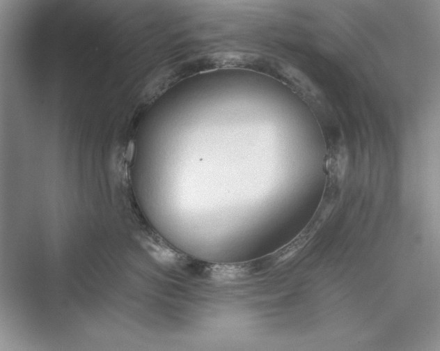 X0000073410766200608111325