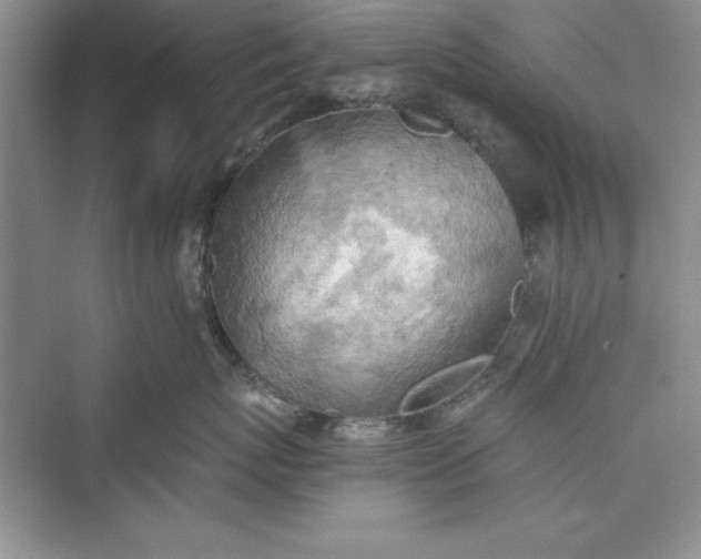 X0000073410767200608111325