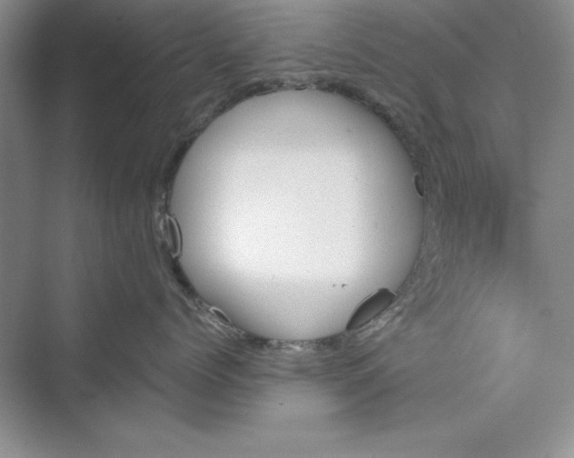 X0000073410768200608111325