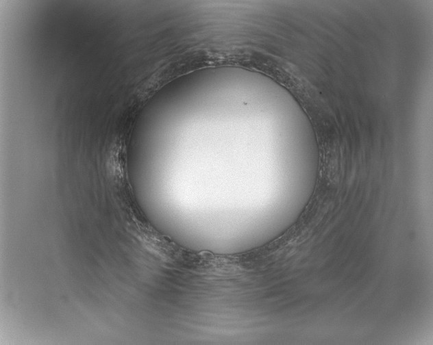 X0000073410770200608111324