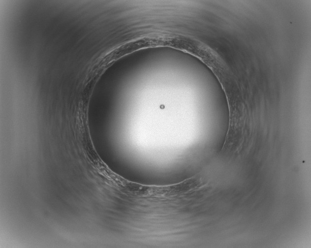 X0000073410773200608111324