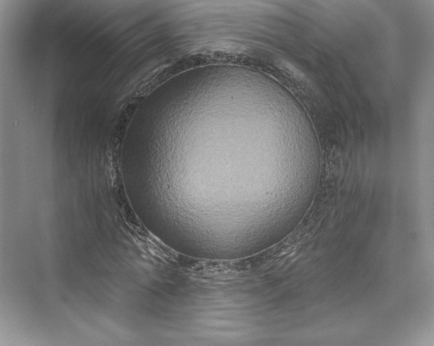 X0000073410774200608111324