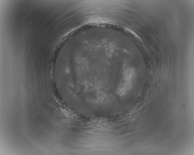 X0000073410775200608111324