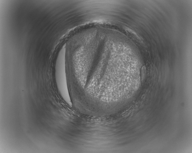 X0000073410776200608111324