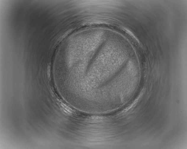 X0000073410777200608111324