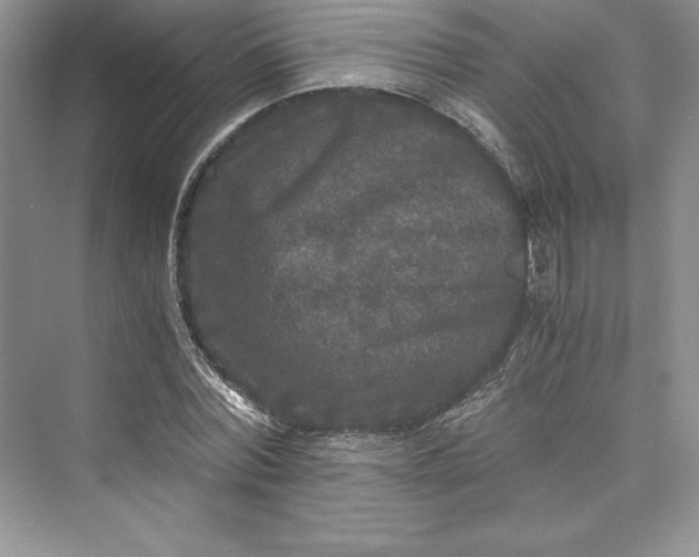 X0000073410780200608111324