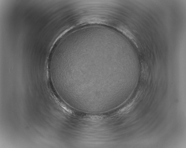 X0000073410782200608111324