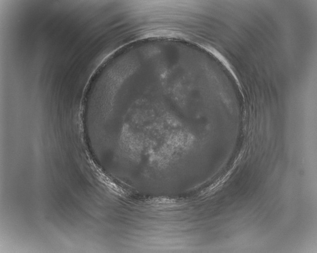 X0000073410783200608111324