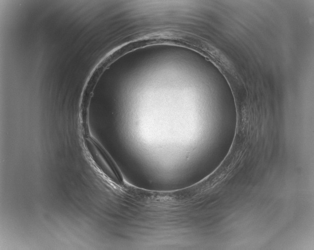 X0000073410784200608111324