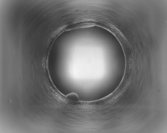 X0000073410785200608111324