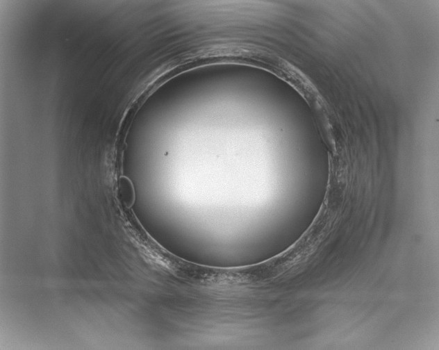 X0000073410786200608111324