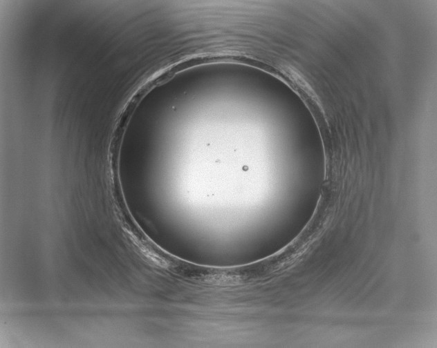 X0000073410789200608111324