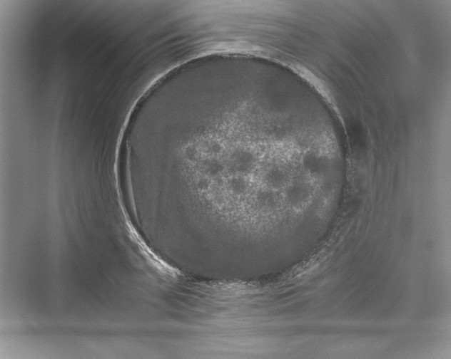 X0000073410791200608111324